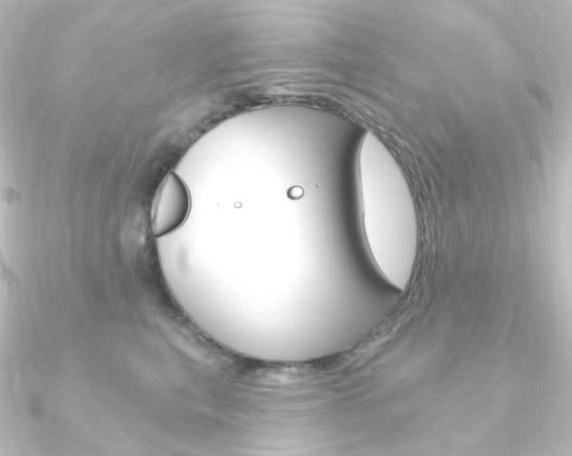 X0000090950567200708021103