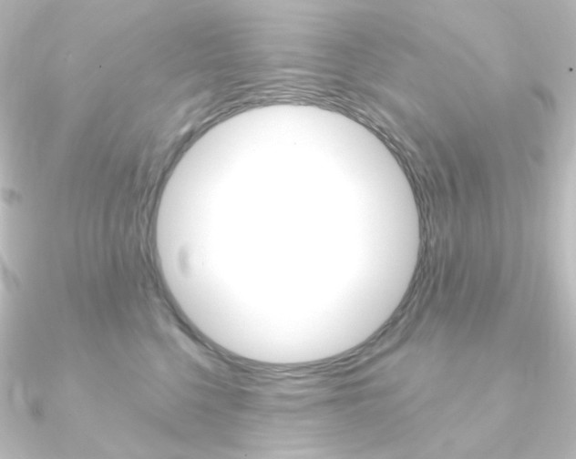 X0000090950568200708021103