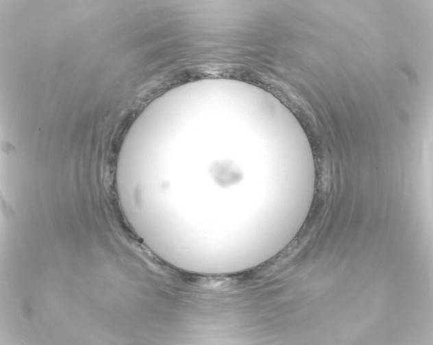 X0000090950569200708021103
