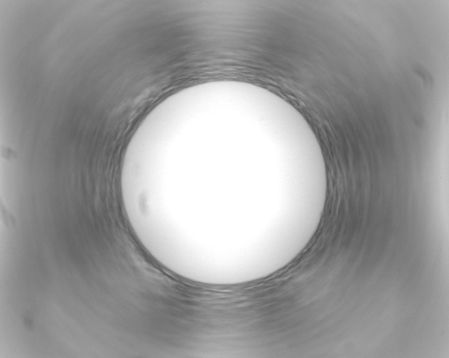 X0000090950570200708021103