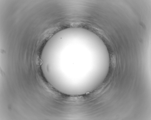 X0000090950571200708021103