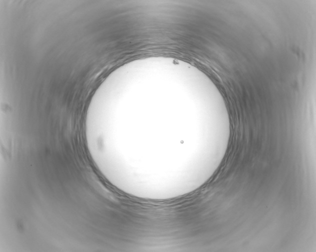 X0000090950572200708021103