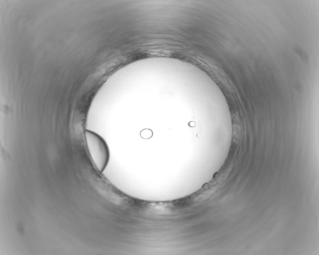 X0000090950573200708021103