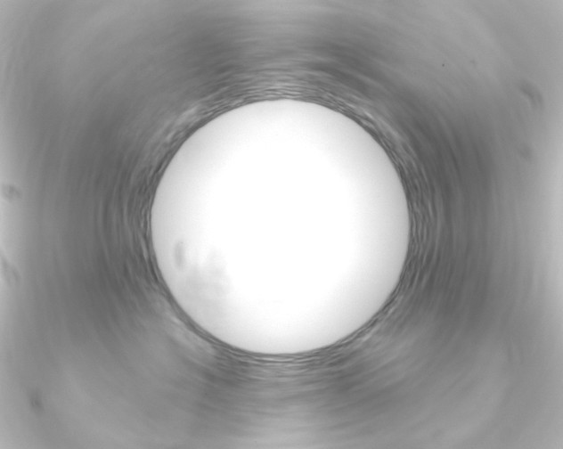 X0000090950574200708021103