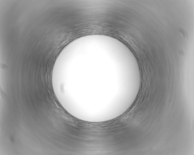 X0000090950576200708021104