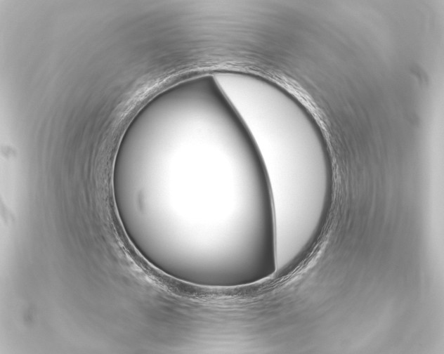 X0000090950577200708021103