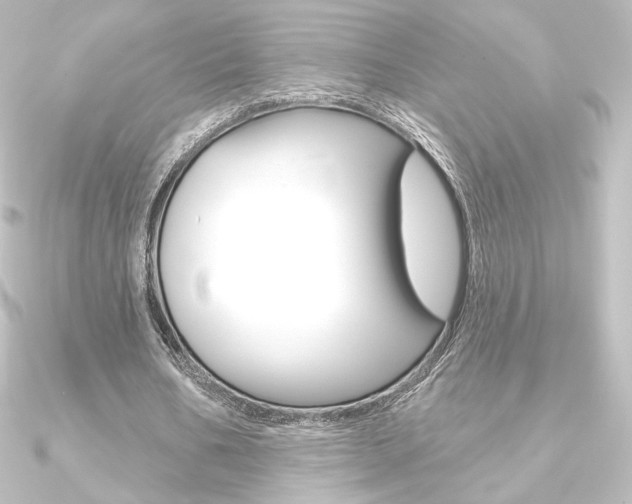 X0000090950578200708021103