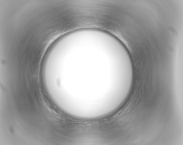 X0000090950579200708021103