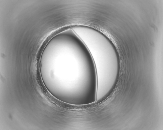 X0000090950580200708021103