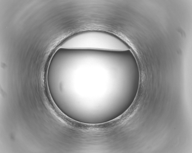 X0000090950581200708021103