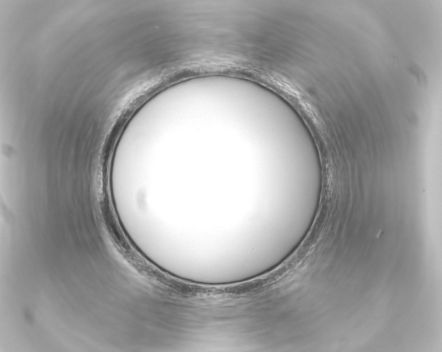 X0000090950582200708021103