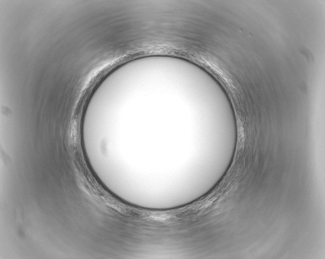 X0000090950583200708021103