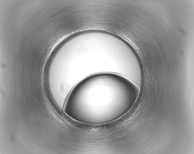 X0000090950584200708021103