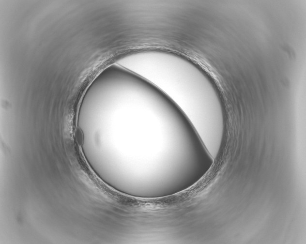 X0000090950585200708021103