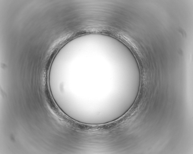 X0000090950586200708021103