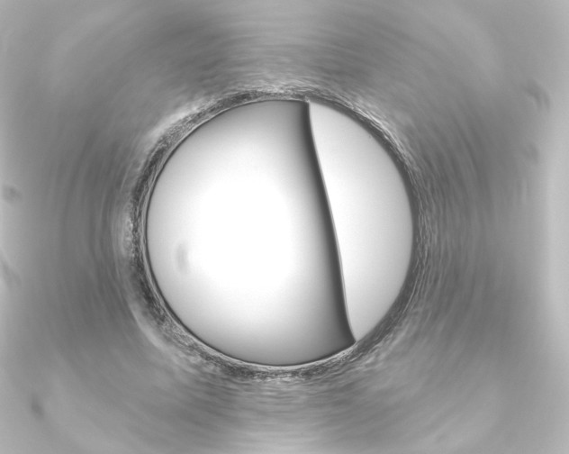 X0000090950587200708021103