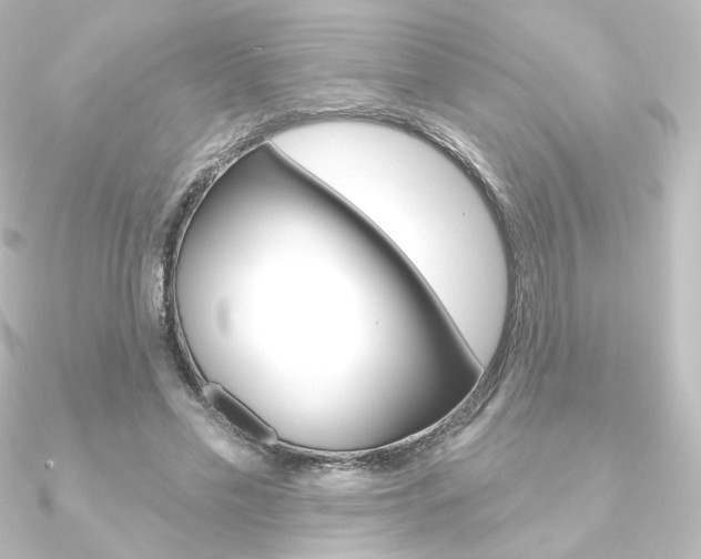 X0000090950589200708021103