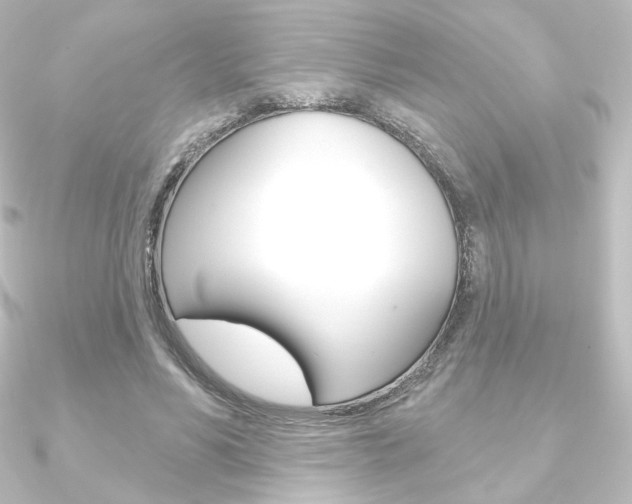 X0000090950590200708021103