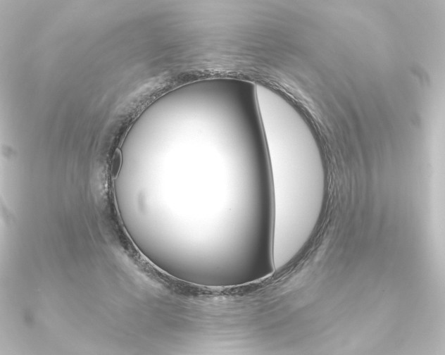 X0000090950593200708021103