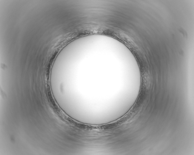 X0000090950594200708021103