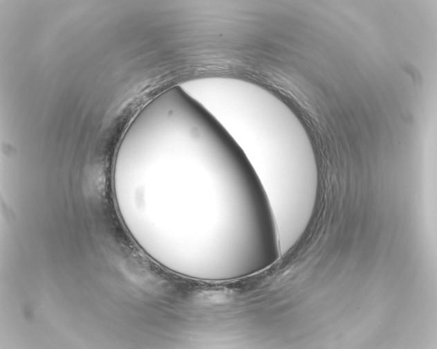 X0000090950595200708021103