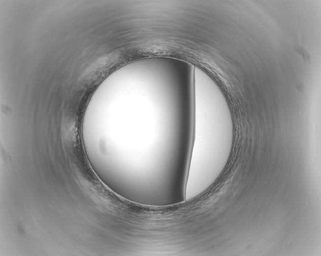 X0000090950597200708021103