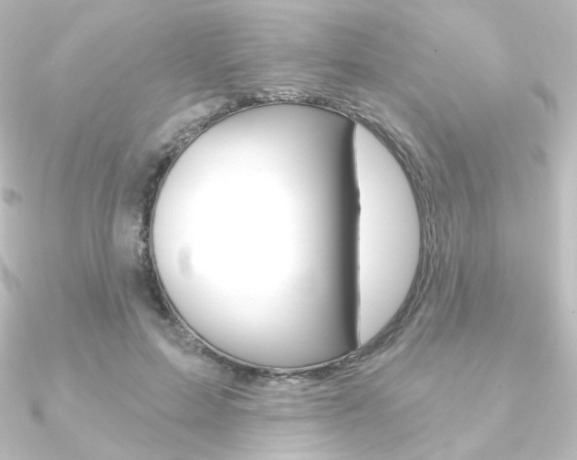 X0000090950599200708021103