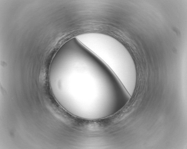 X0000090950600200708021103