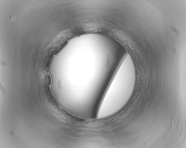 X0000090950601200708021103