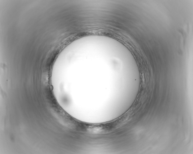 X0000090950602200708021103