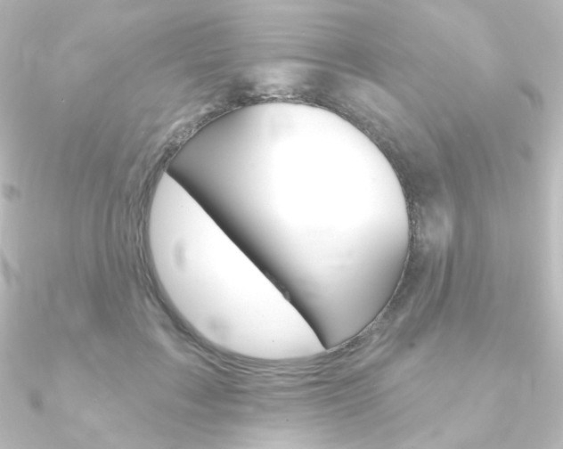 X0000090950603200708021103