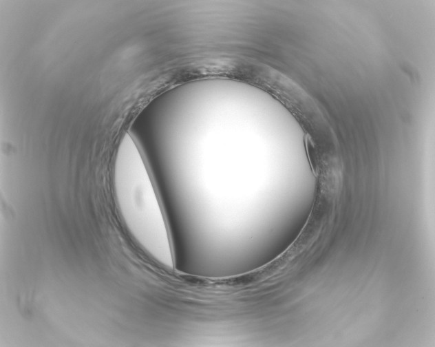 X0000090950604200708021103