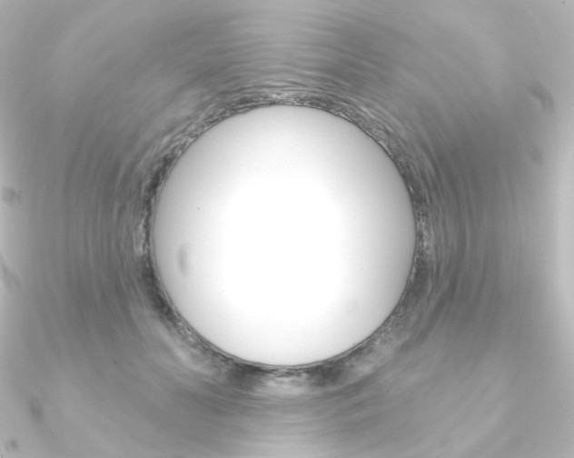 X0000090950606200708021103