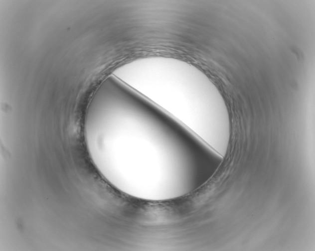 X0000090950608200708021102