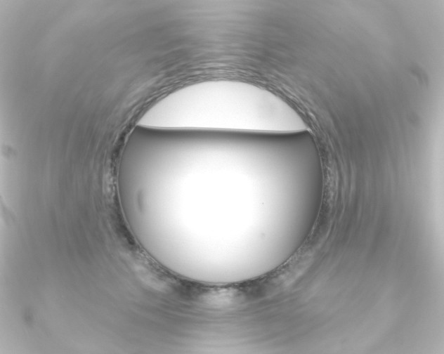 X0000090950609200708021102