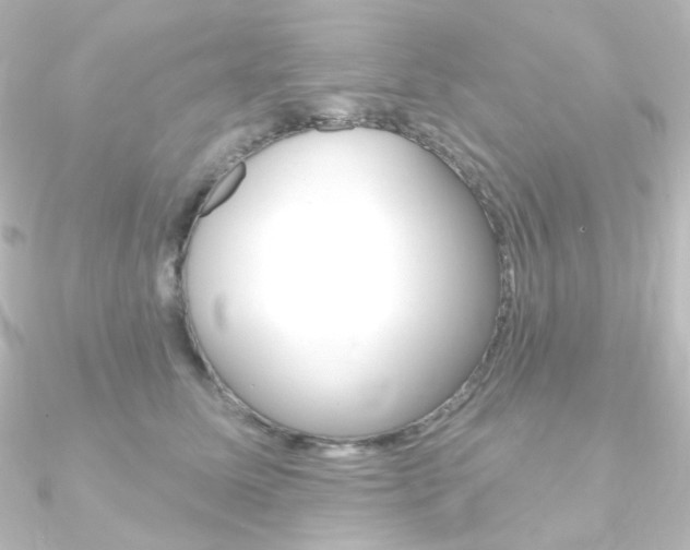 X0000090950611200708021102