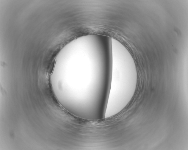 X0000090950613200708021102