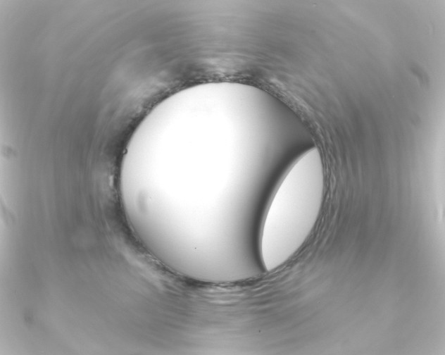 X0000090950615200708021102