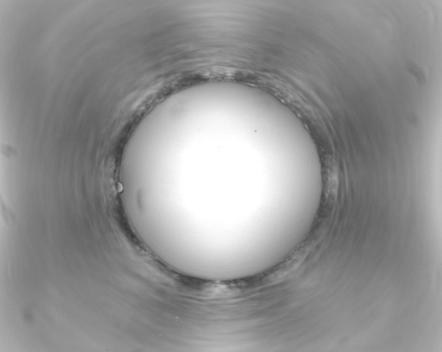 X0000090950616200708021102
