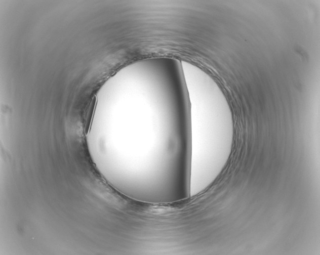 X0000090950617200708021102