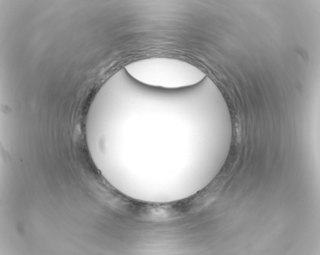 X0000090950618200708021102