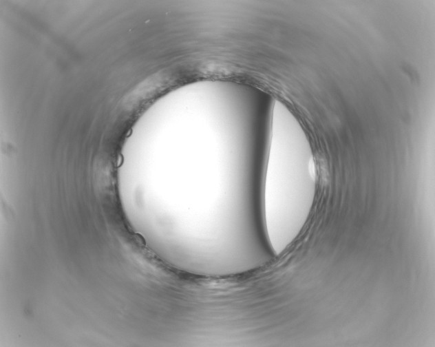 X0000090950619200708021102
