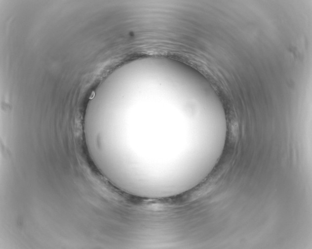 X0000090950620200708021102