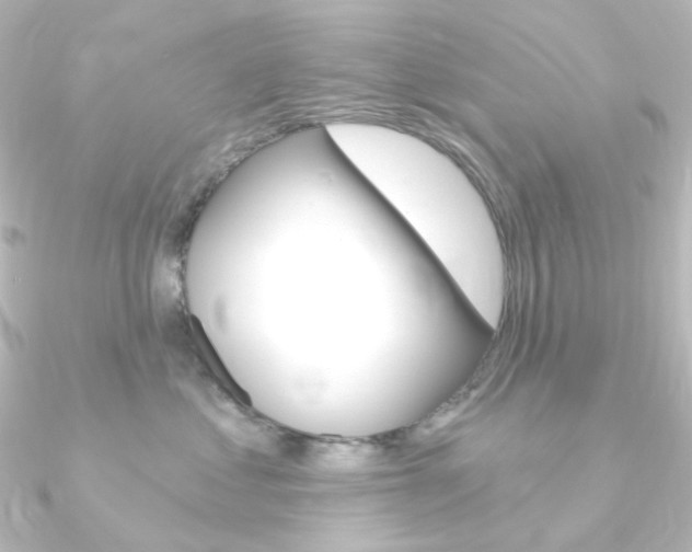 X0000090950621200708021102