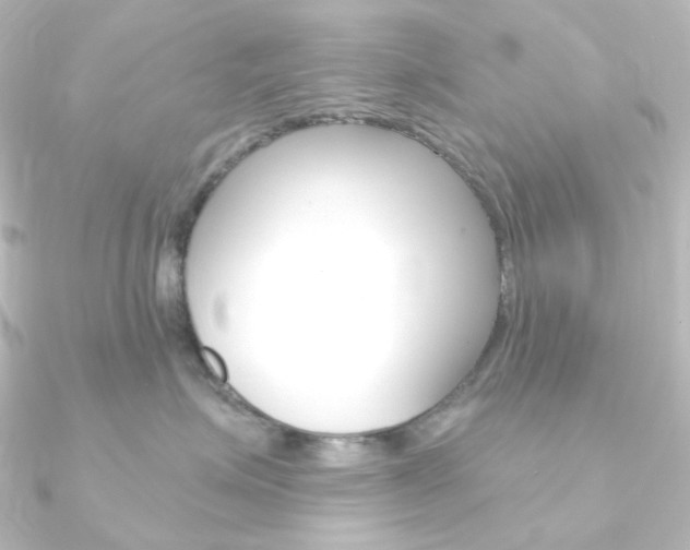 X0000090950623200708021102