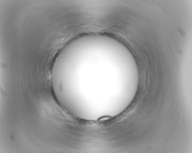 X0000090950624200708021102