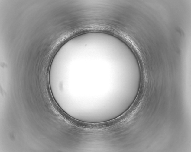 X0000090950625200708021102
