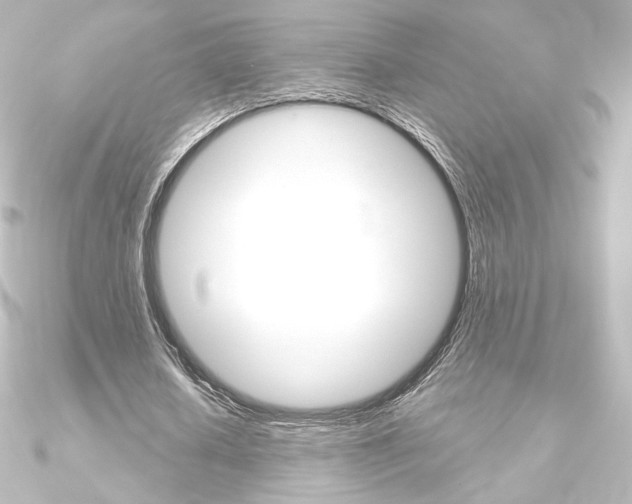 X0000090950626200708021102