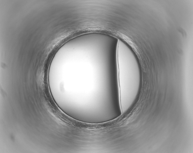 X0000090950627200708021102