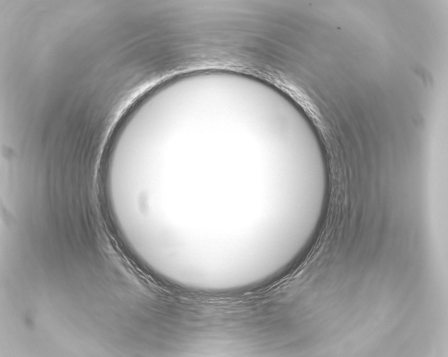 X0000090950628200708021102